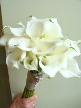 White tied callas